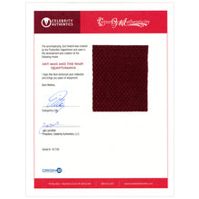Load image into Gallery viewer, 2023 Ant-Man And The Wasp: Quantumania Production Made Ant-Man Suit Framed Display with Evangeline Lilly Letter of Authenticity