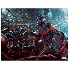 Load image into Gallery viewer, Paul Rudd Autographed Ant-Man Colony 11×14 CinaPanel