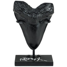 Load image into Gallery viewer, Richard Dreyfuss Autographed Jaws Megalodon Tooth Dispaly