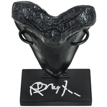 Load image into Gallery viewer, Richard Dreyfuss Autographed Jaws Megalodon Tooth Dispaly