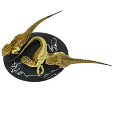 Load image into Gallery viewer, Sam Neill, Jeff Goldblum, Laura Dern Autographed Jurassic Park Crash McCreery&#39;s Baby Raptors Statue
