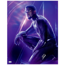 Load image into Gallery viewer, Stan Lee Autographed Avengers Infinity War Black Panther 16x20 Photo