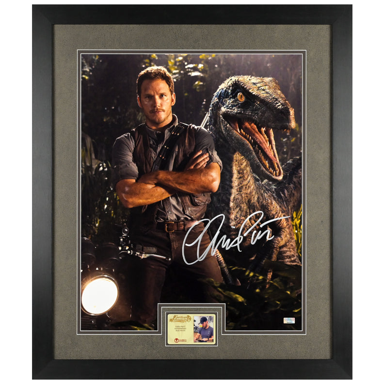 Chris Pratt Autographed Jurassic World Owen and Blue 16×20 Photo