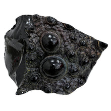 Load image into Gallery viewer, Margot Robbie 2016 Suicide Squad Screen Used Eyes of the Adversary Creature Piece