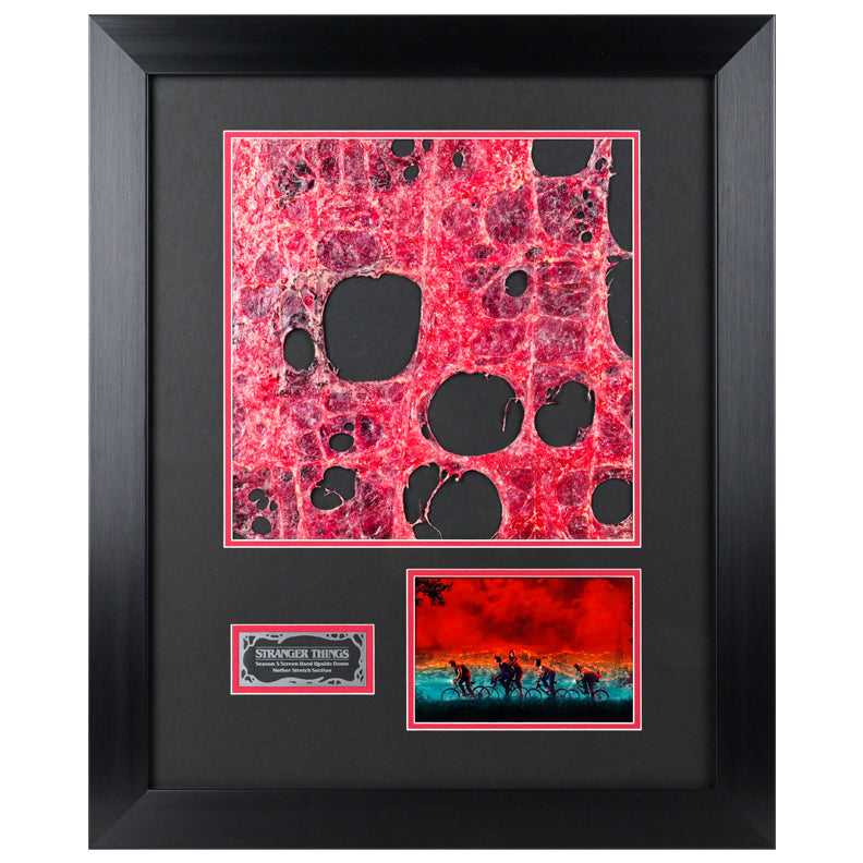 Stranger Things Seaon 5 Screen Used The Neither Stretch Framed Display A2088