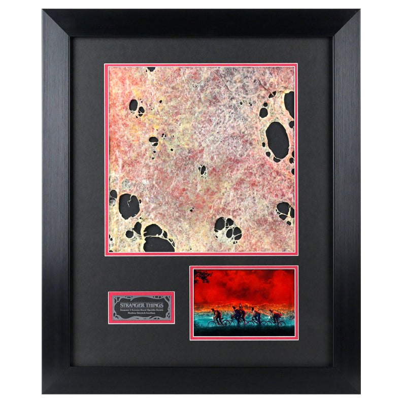 Stranger Things Seaon 5 Screen Used The Neither Stretch Framed Display A2091