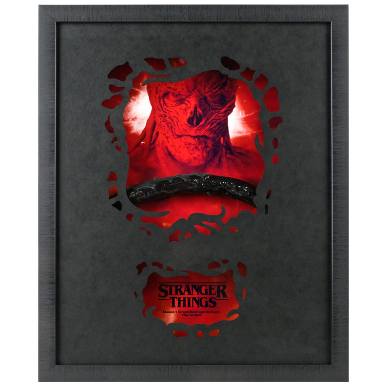 Stranger Things Seaon 5 Screen Used The Neither Vine Framed Display A2064