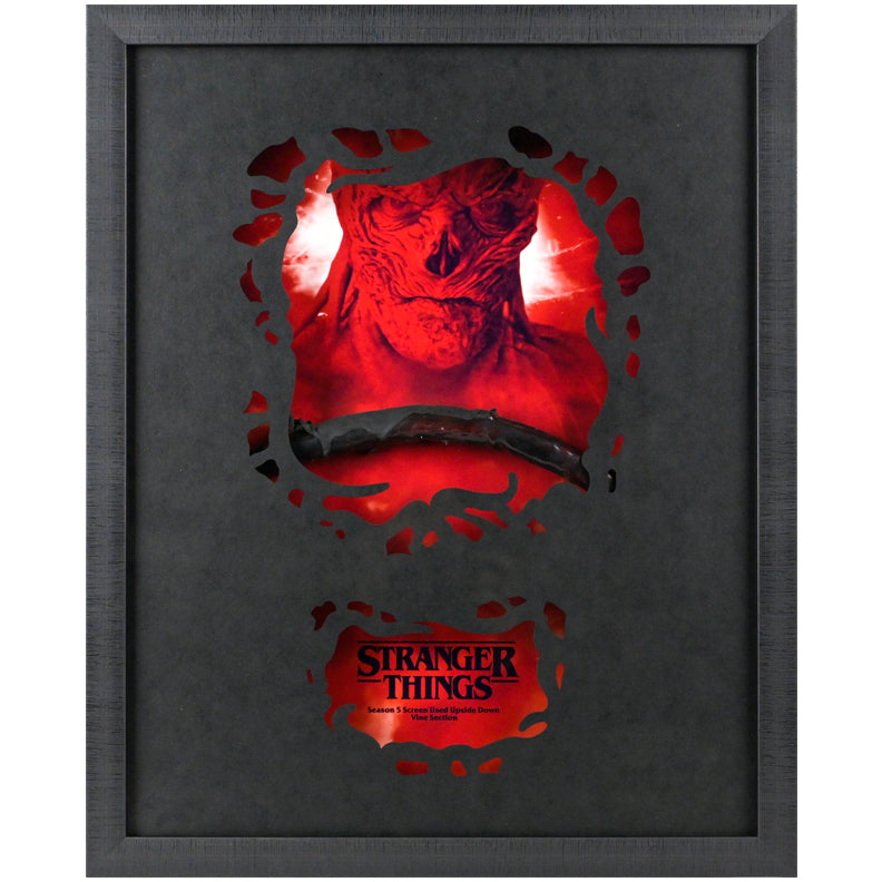 Stranger Things Seaon 5 Screen Used The Neither Vine Framed Display A2082
