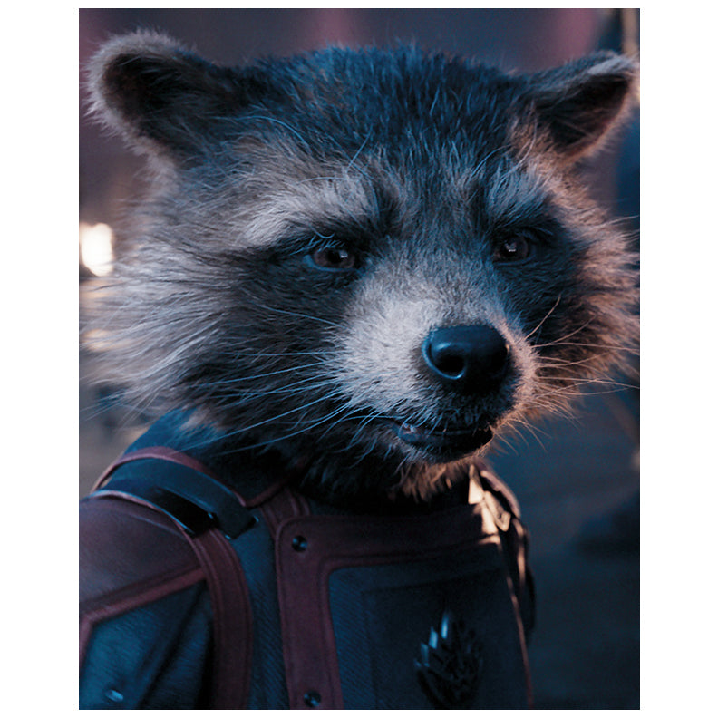 Bradley Cooper Autographed Guardians of the Galaxy Rocket Close Up 8x10 Photo Pre-Order