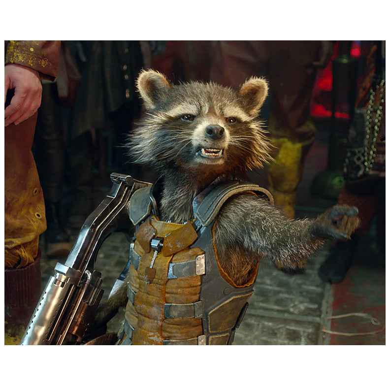 Bradley Cooper Autographed 2019 Avengers: Endgame Rocket 8x10 Scene Photo Pre-Order