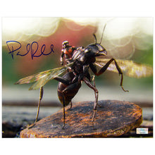 Load image into Gallery viewer, Paul Rudd Autographed Ant-Man with Antony 8×10 Photo